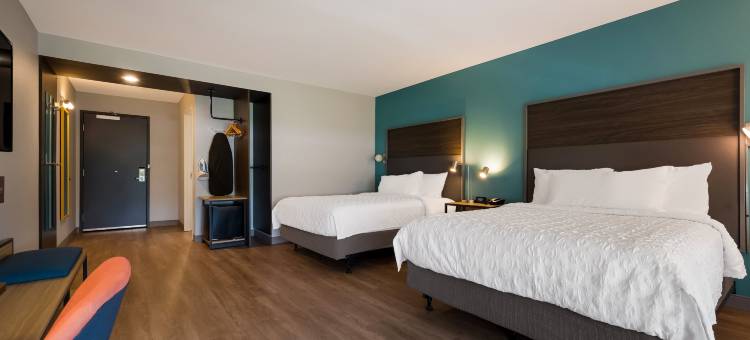 诺维底特律希尔顿特鲁酒店(Tru by Hilton Novi Detroit)图片