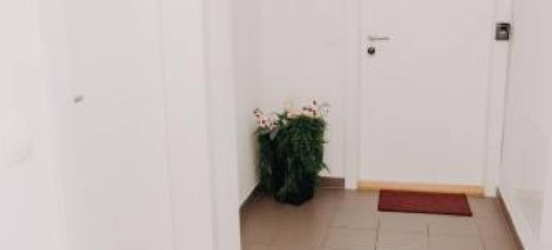 Apartments Miki's图片