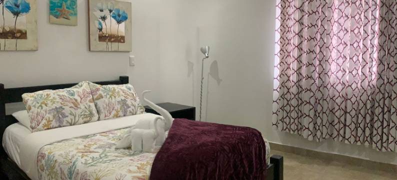 科罗纳多旅馆酒店(Hotel Coronado Inn)图片