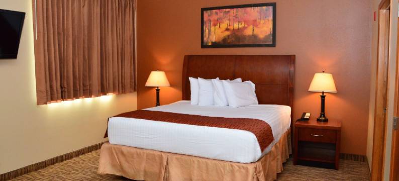 鹅卵石套房酒店 - 牛顿(Cobblestone Inn & Suites - Newton)图片