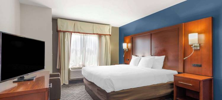 舒适套房酒店-亚特兰大机场(Comfort Suites Atlanta Airport)图片