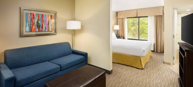 阿尔普哈雷塔智选假日酒店(Holiday Inn Express & Suites ALPHARETTA - WINDWARD PARKWAY by IHG)图片