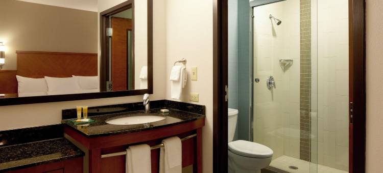 都柏林/普莱森顿凯悦嘉轩酒店(Hyatt Place Dublin/Pleasanton)图片