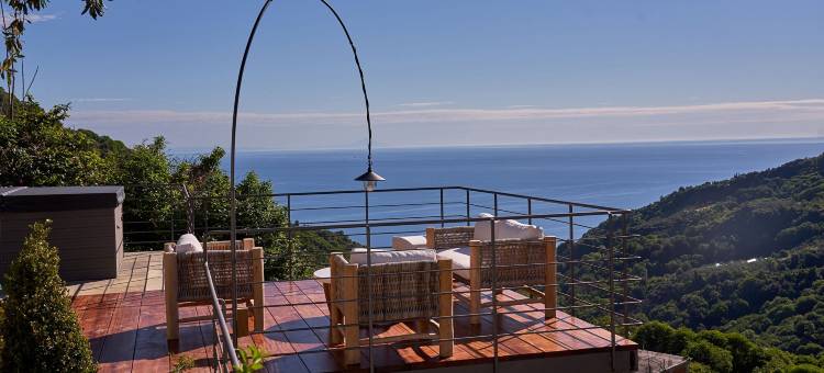 日出花园山丘(Sunrise Garden Hills)图片