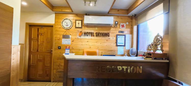 天空国王酒店(Hotel Skyking)图片