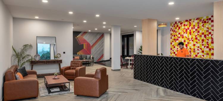 Ginger Durgapur姜(Ginger Durgapur)图片