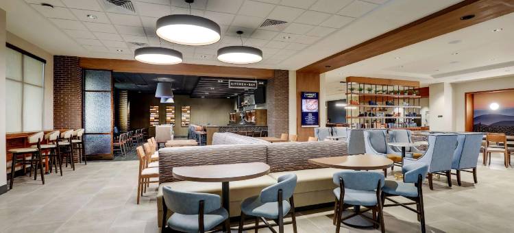 德鲁里广场酒店查塔努加汉密尔顿地方(Drury Plaza Hotel Chattanooga Hamilton Place)图片