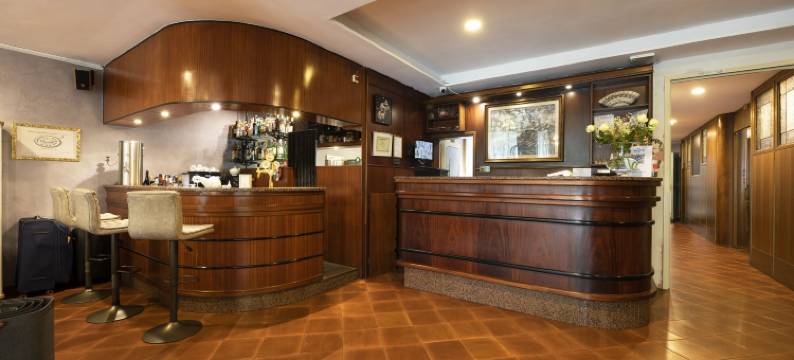 维也纳酒店(Hotel Vienna)图片