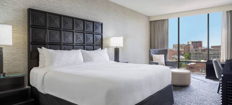 阿什维尔市中心万丽酒店(Renaissance Asheville Downtown Hotel)图片