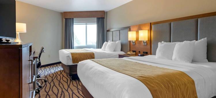 市场机场舒适酒店(Comfort Inn & Suites Market - Airport)图片