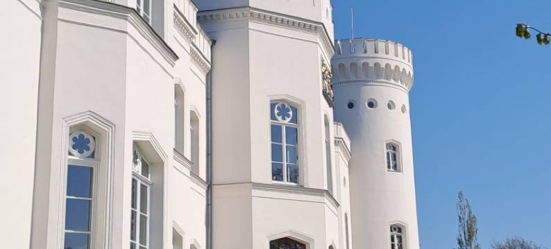 施莱明城堡(Schloss Schlemmin)图片