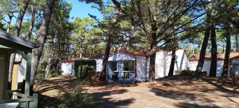 普雷斯基尔庄园(Domaine de la Presqu'île)图片