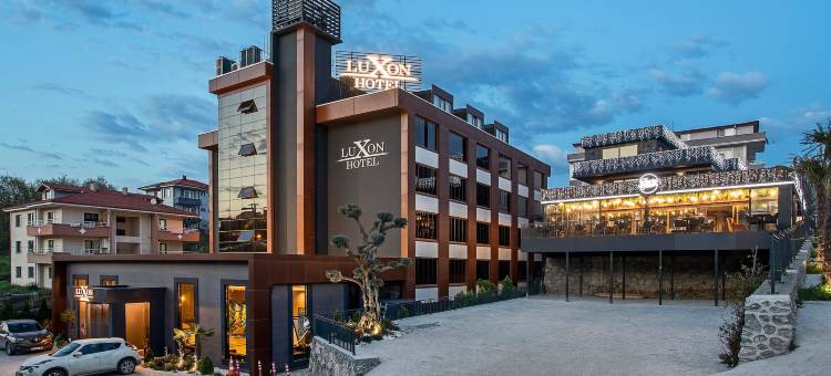 萨卡里亚卢克索酒店(Luxon Hotel Sakarya)图片