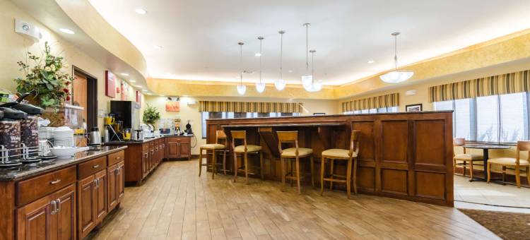南萨莱纳舒适套房酒店(Comfort Suites Salina South)图片