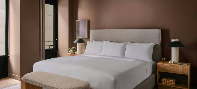 安特里索恩德(Sonder Onterie)图片