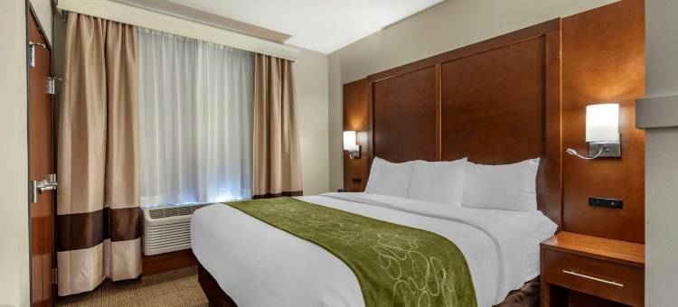 舒适套房酒店(Comfort Suites)图片