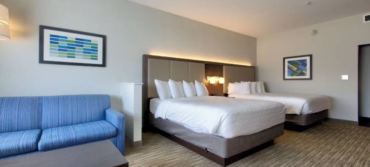 奥那拉斯加拉克罗斯地区智选假日套房酒店(Holiday Inn Express & Suites Onalaska - la Crosse Area)图片