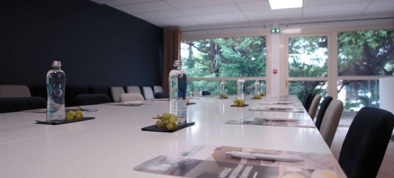 马赛机场英式酒店(Brit Hotel Marseille Aéroport)图片