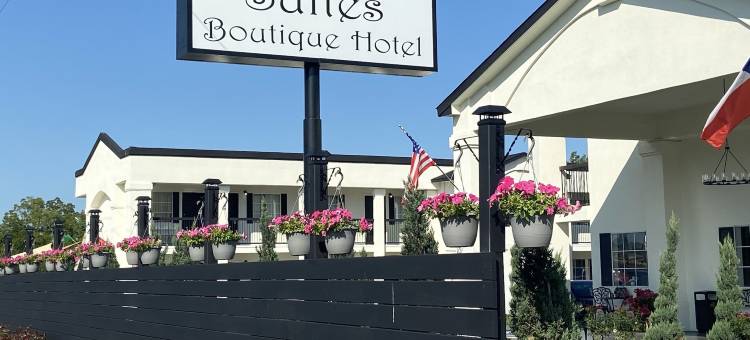 斯特拉塔斯套房 - 精品酒店(Stratus Suites Boutique Hotel)图片