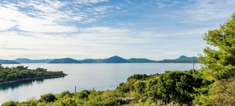 卡塔里纳公寓客房别墅酒店(Apartment & Rooms Villa Katarina)图片