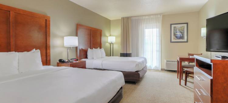 多利伍德街舒适酒店(Comfort Inn & Suites at Dollywood Lane)图片