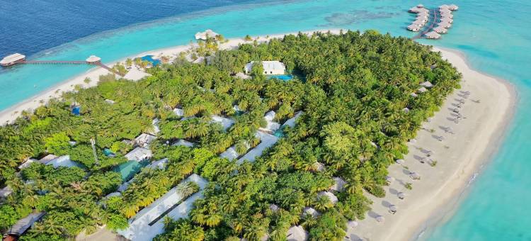 马尔代夫吉哈岛酒店(Kihaa Maldives)图片