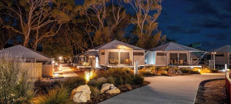 罗特尼斯岛屿探索度假园区(Discovery Resorts - Rottnest Island)图片