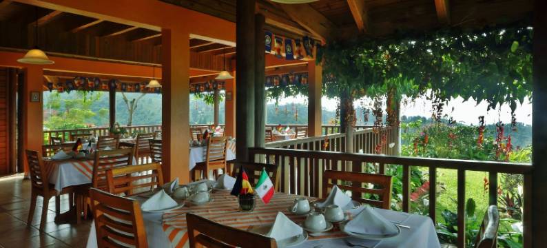 芬卡汉堡拉鲁塔德尔咖啡酒店(Finca Hamburgo la Ruta del Cafe)图片