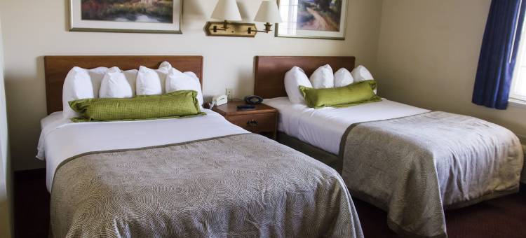 锡拉丘兹机场IHG Candlewood Suites酒店(Candlewood Suites Syracuse-Airport by IHG)图片