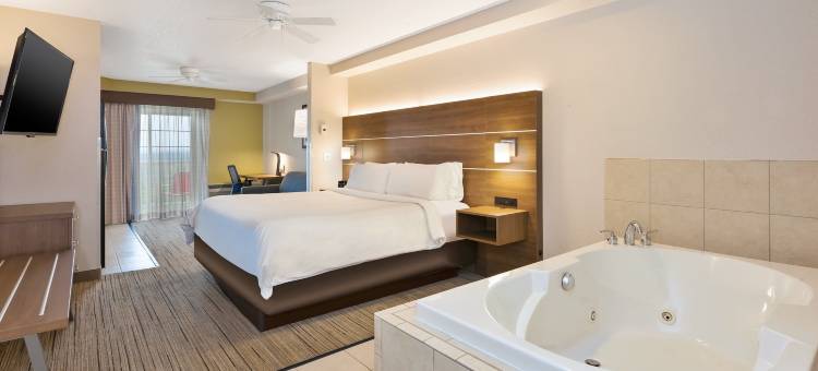 佩托斯基智选假日套房酒店(Holiday Inn Express & Suites Petoskey)图片