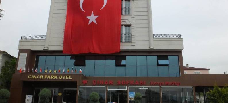 茨纳尔帕克酒店(Çınarpark Hotel)图片