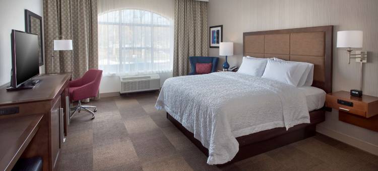 希尔顿欢朋酒店-新帕尔茨(Hampton Inn by Hilton New Paltz)图片