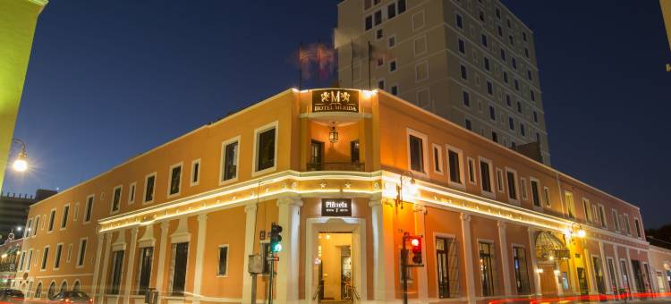 梅尼达酒店(Hotel Merida)图片
