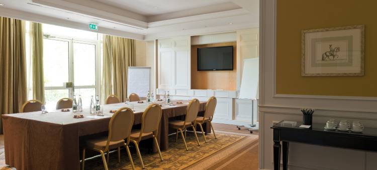 尚蒂利皇家山城堡洲际酒店(InterContinental Chantilly Chateau Mont Royal)图片