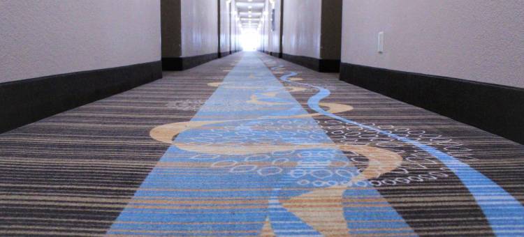 布卢明顿浩枫温德姆公寓(Hawthorn Extended Stay by Wyndham Bloomington)图片