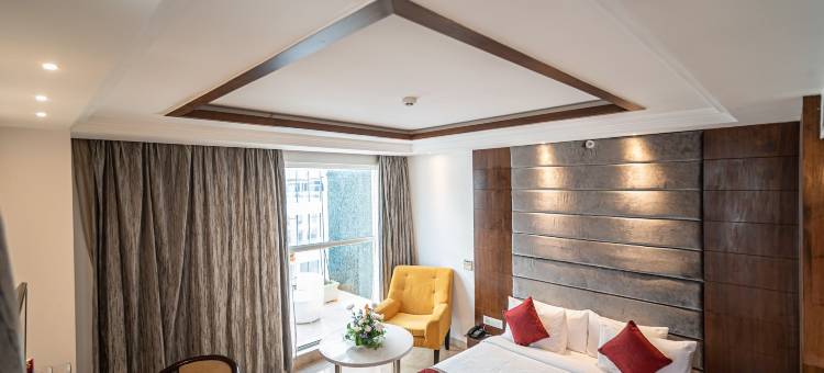 巴吉尼艾康优质酒店(Bhagini Icon Premier Hotel)图片