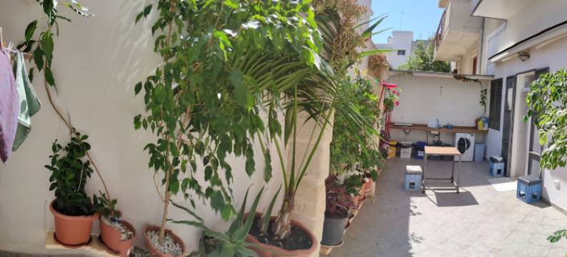 狄拉诺纳民宿(Casa Della Nonna Polignano a Mare)图片