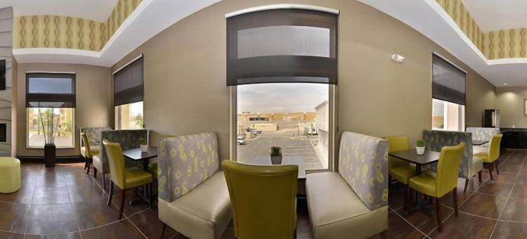 舒适套房酒店机场I-10(Comfort Inn & Suites I-10 Airport)图片