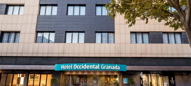 格拉纳达西方酒店(Occidental Granada)图片
