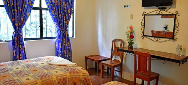 圣路易斯酒店(Hotel San Luis)图片