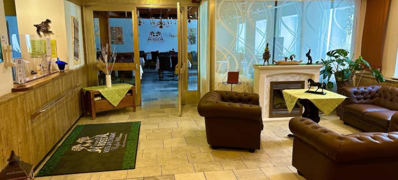 施瓦尔兹罗斯餐厅酒店(Schwarzes Ross Hotel & Restaurant Oberwiesenthal)图片