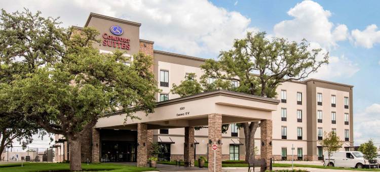 南奥斯汀舒适套房酒店(Comfort Suites - South Austin)图片