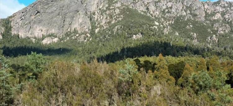 摇篮山高山度假村(Cradle Alpine Retreat)图片