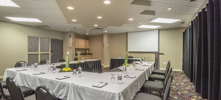 西埃德蒙顿凯艺酒店(Quality Inn West Edmonton)图片