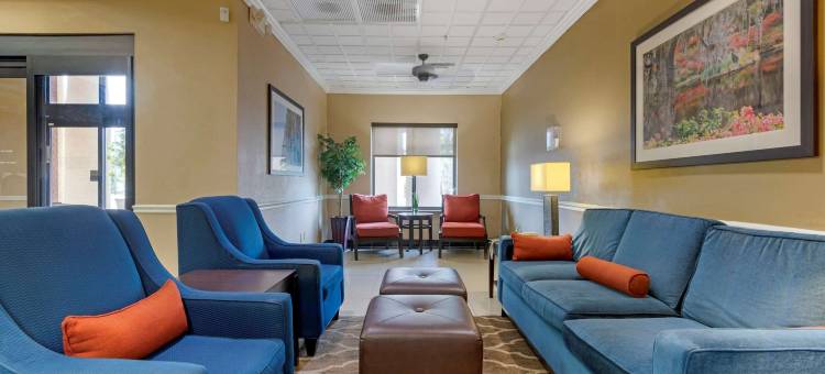 萨凡纳北舒适套房酒店(Comfort Suites Savannah North)图片