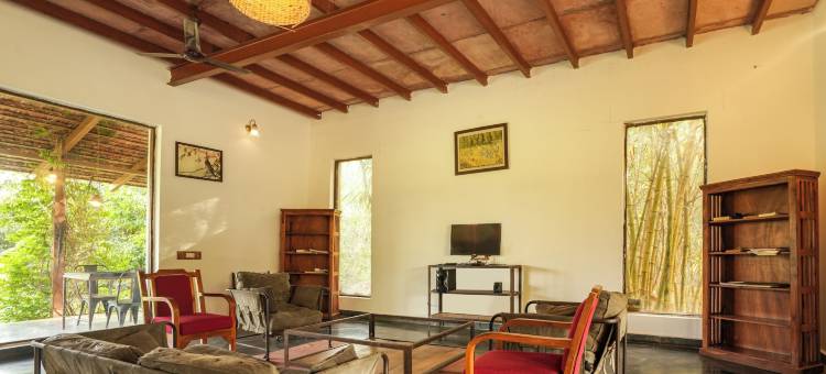 马胡阿托拉塔多巴(Mahua Tola Tadoba)图片