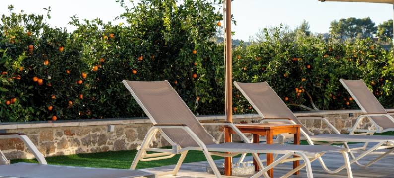 弗伦泽奢华公寓酒店(Frunze Luxury Apartments)图片