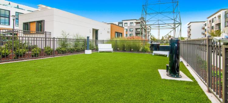 门洛帕克全球豪华套房公寓(Global Luxury Suites in Menlo Park)图片