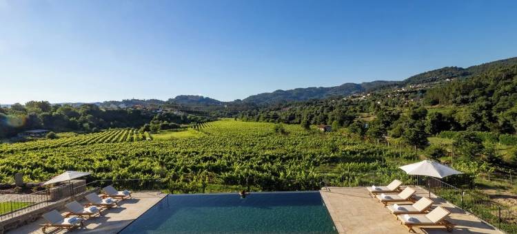 西普里亚诺庄园 - 葡萄酒与自然(Quinta de Cypriano - Wine & Nature)图片