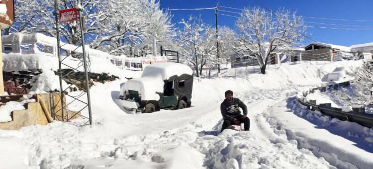 家庭寄宿(Family Home Stay)图片